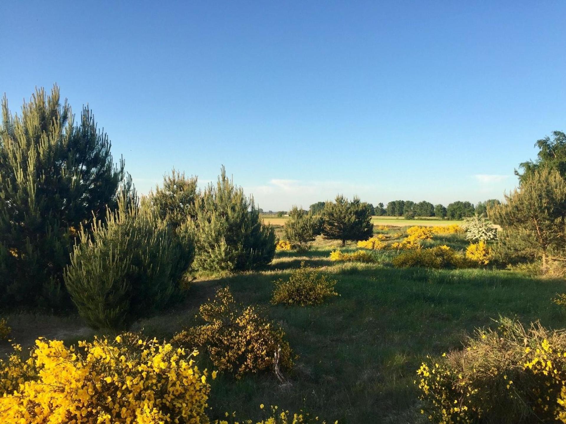 Wiesenblick 8