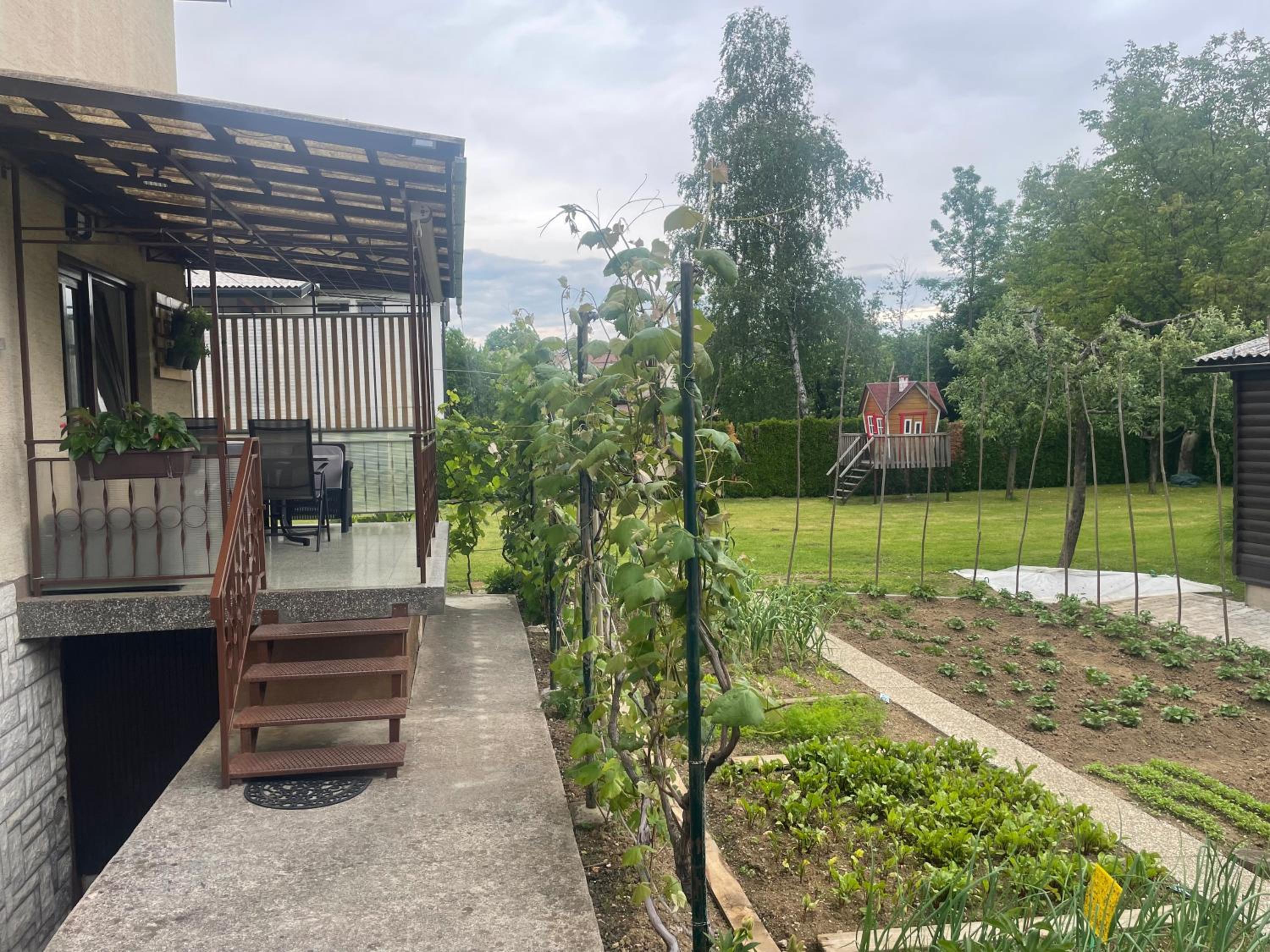 Apartma Šohen view 5