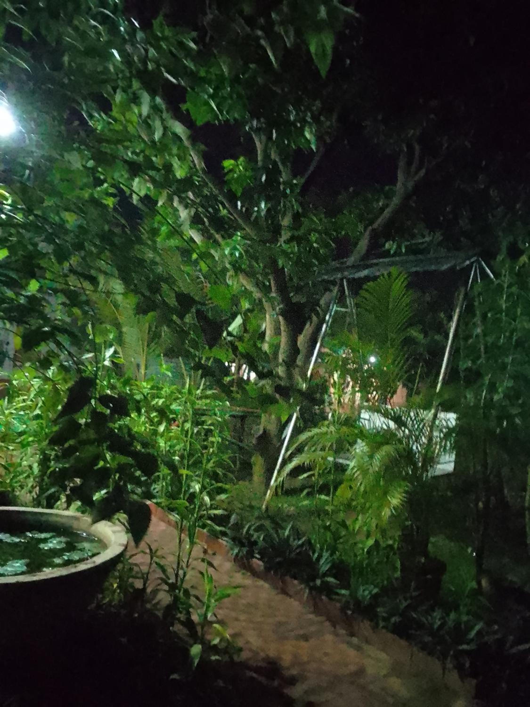 Perch Villa Homestay