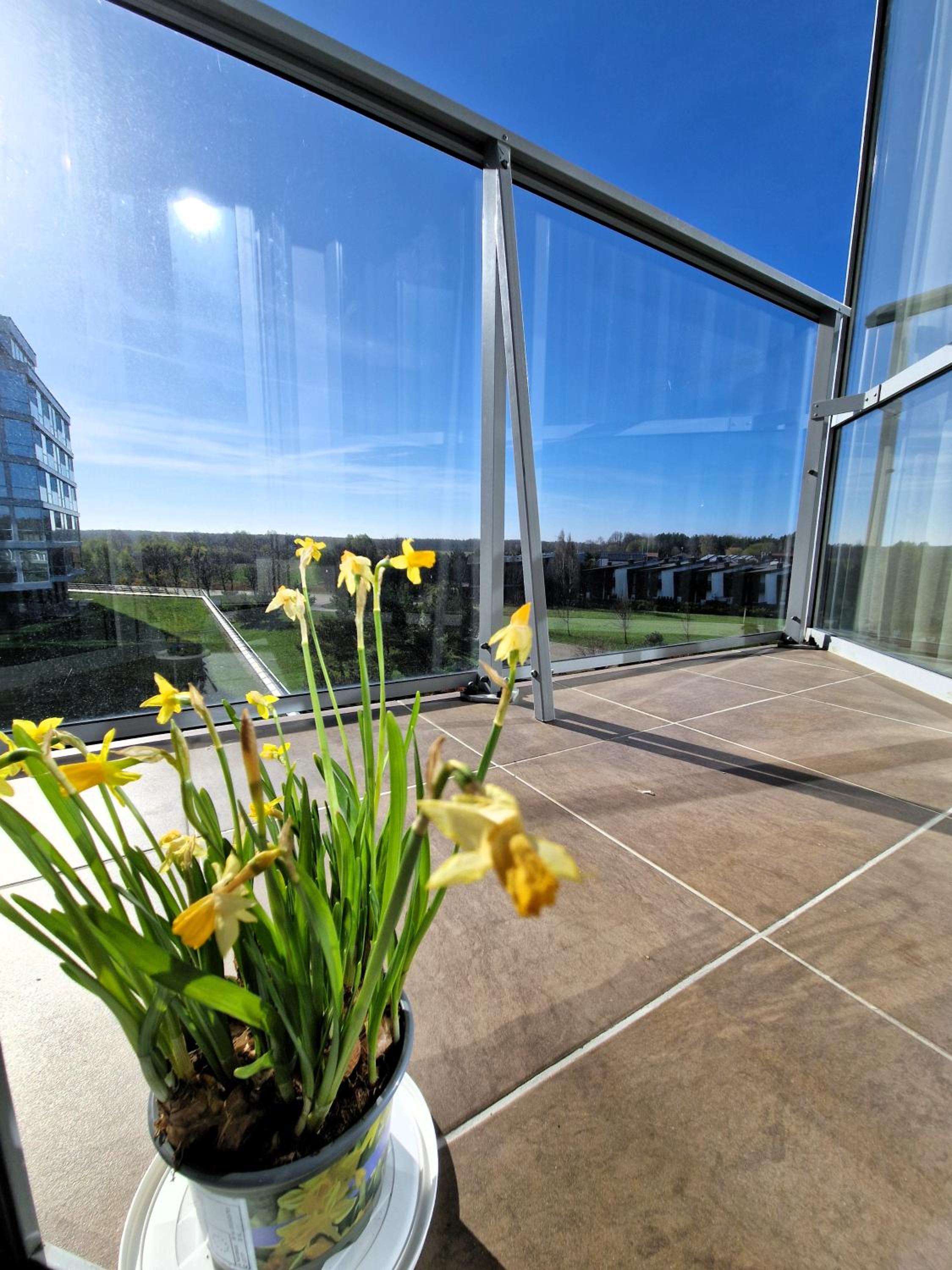 Elija Sunny Family Apartment