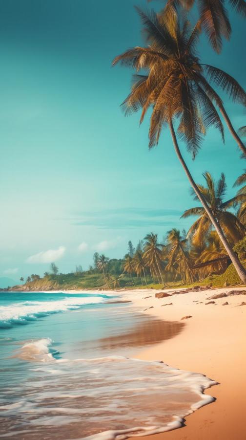 Ocean Pearl at Turtle Bay view 3