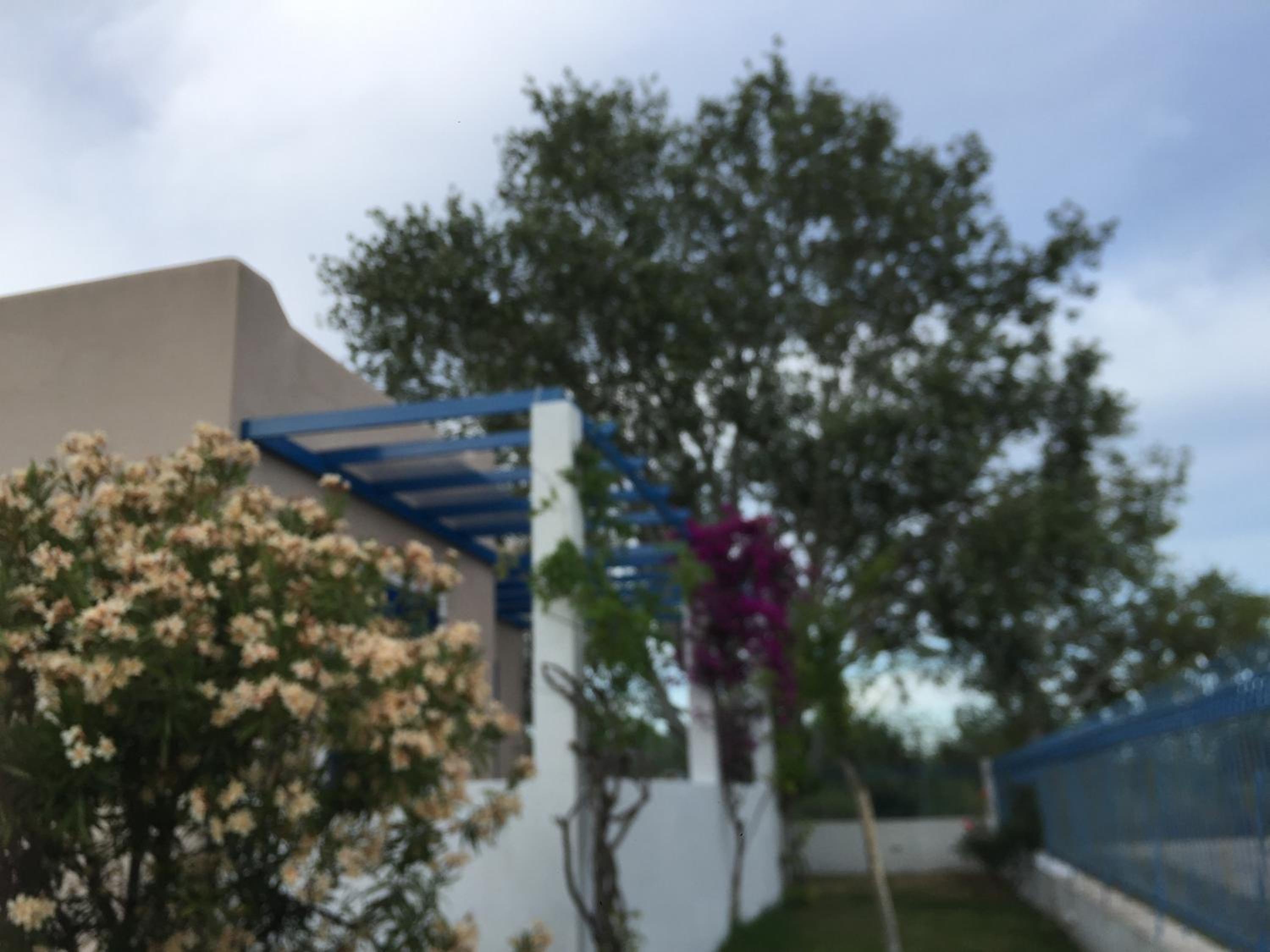 sxinias pool villa view 2