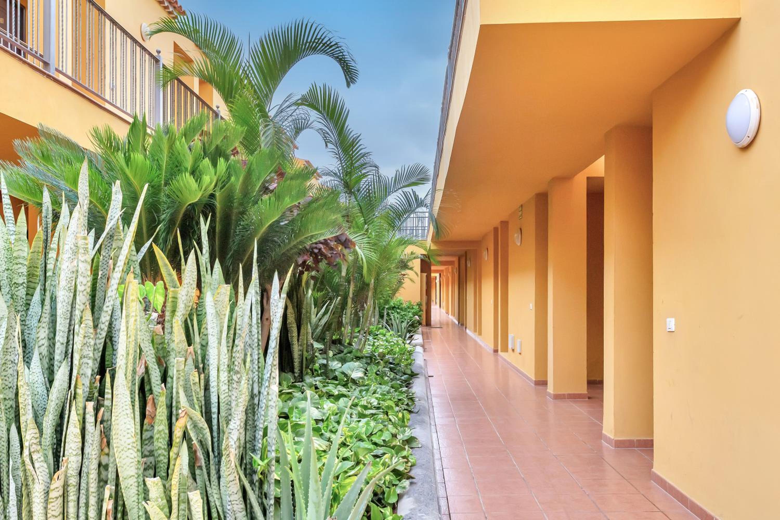 Sunny Silencio Retreat Atlantico 1