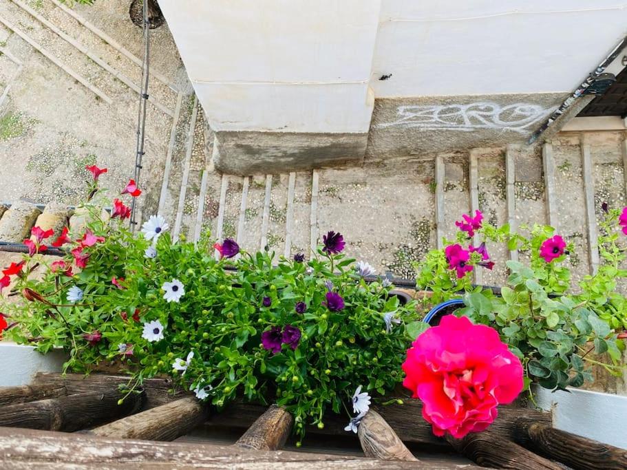 PEACE house in center of Albaicin UNESCO heritage