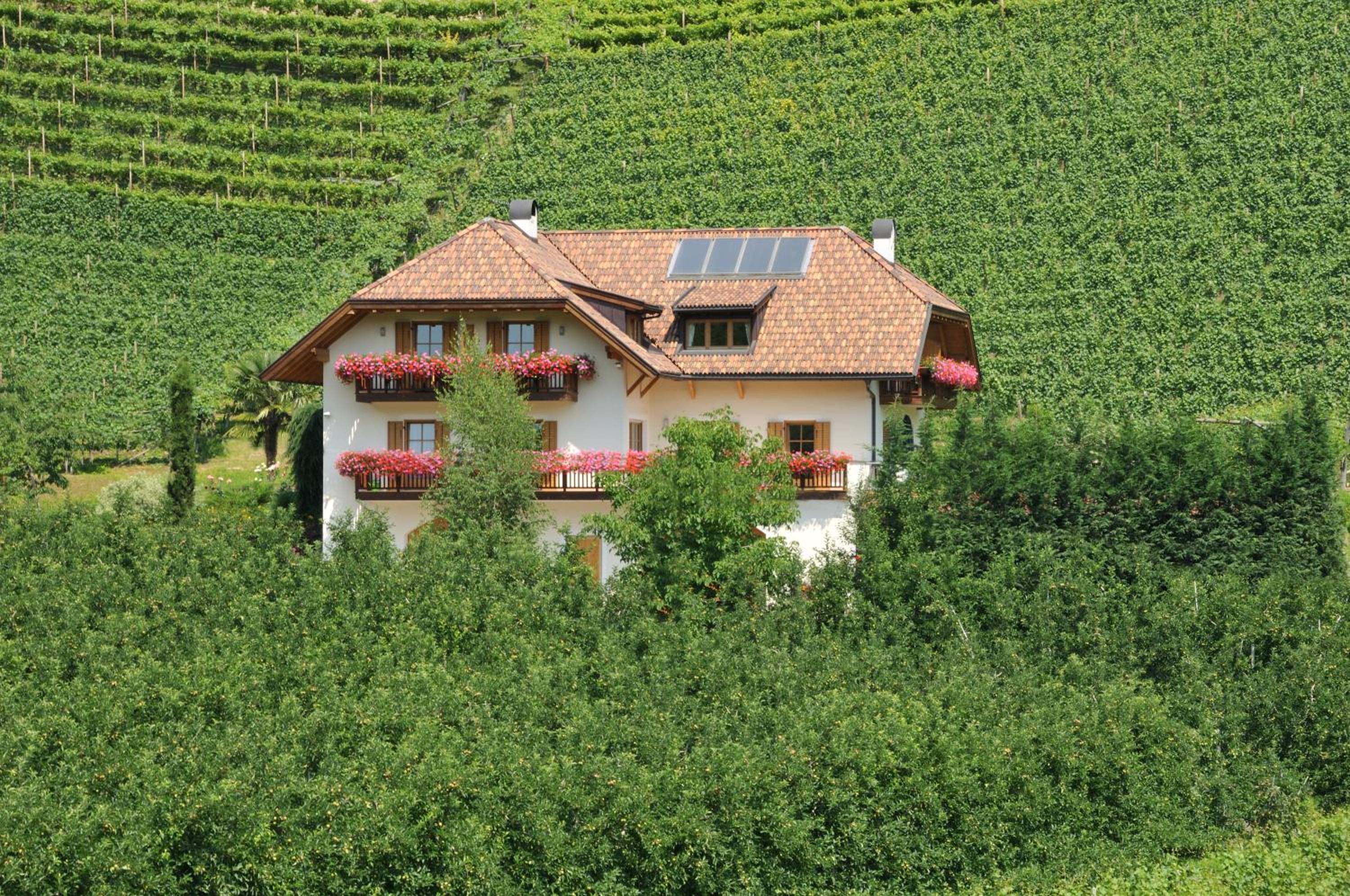 Spiegelhof