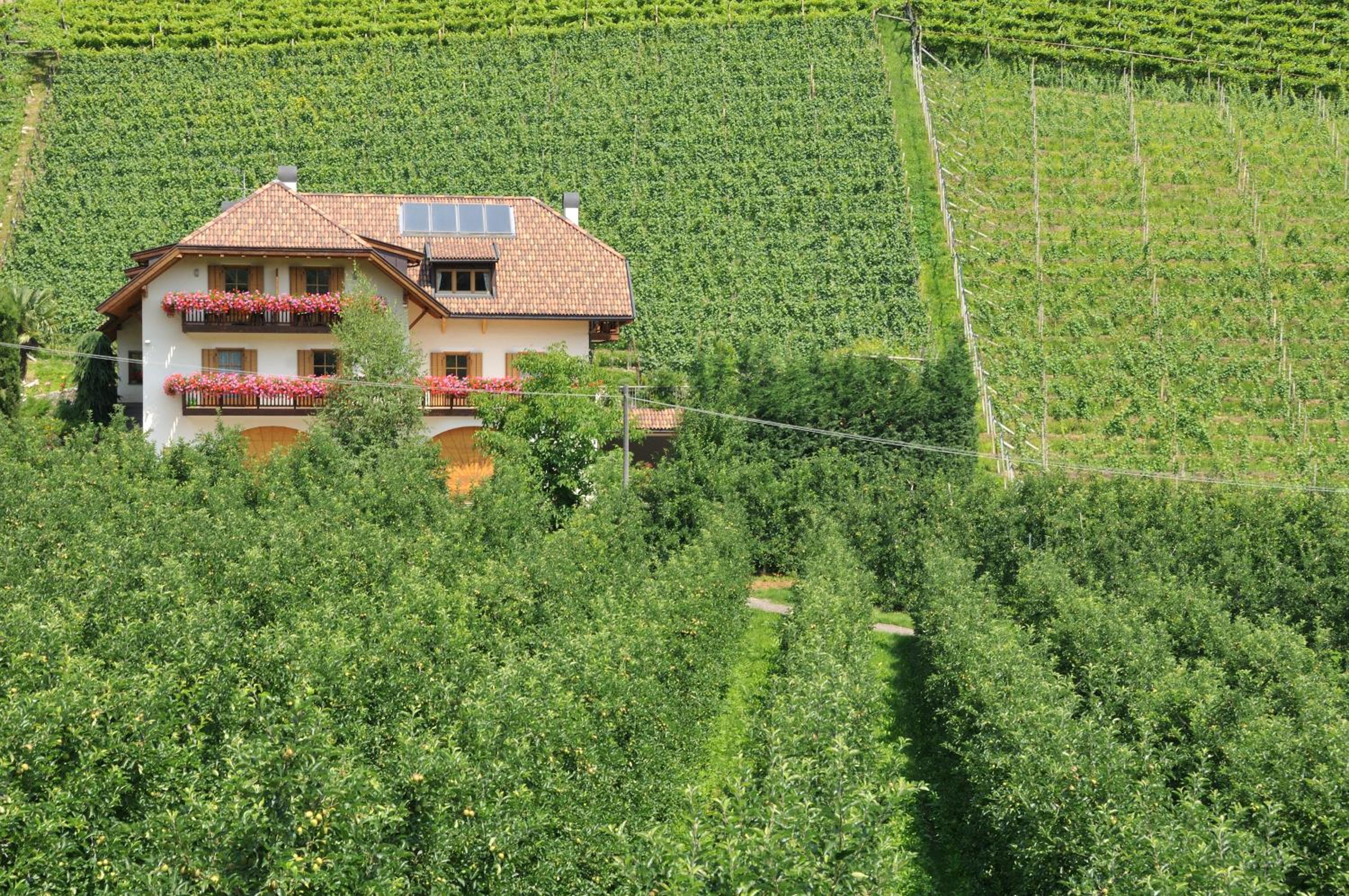 Spiegelhof