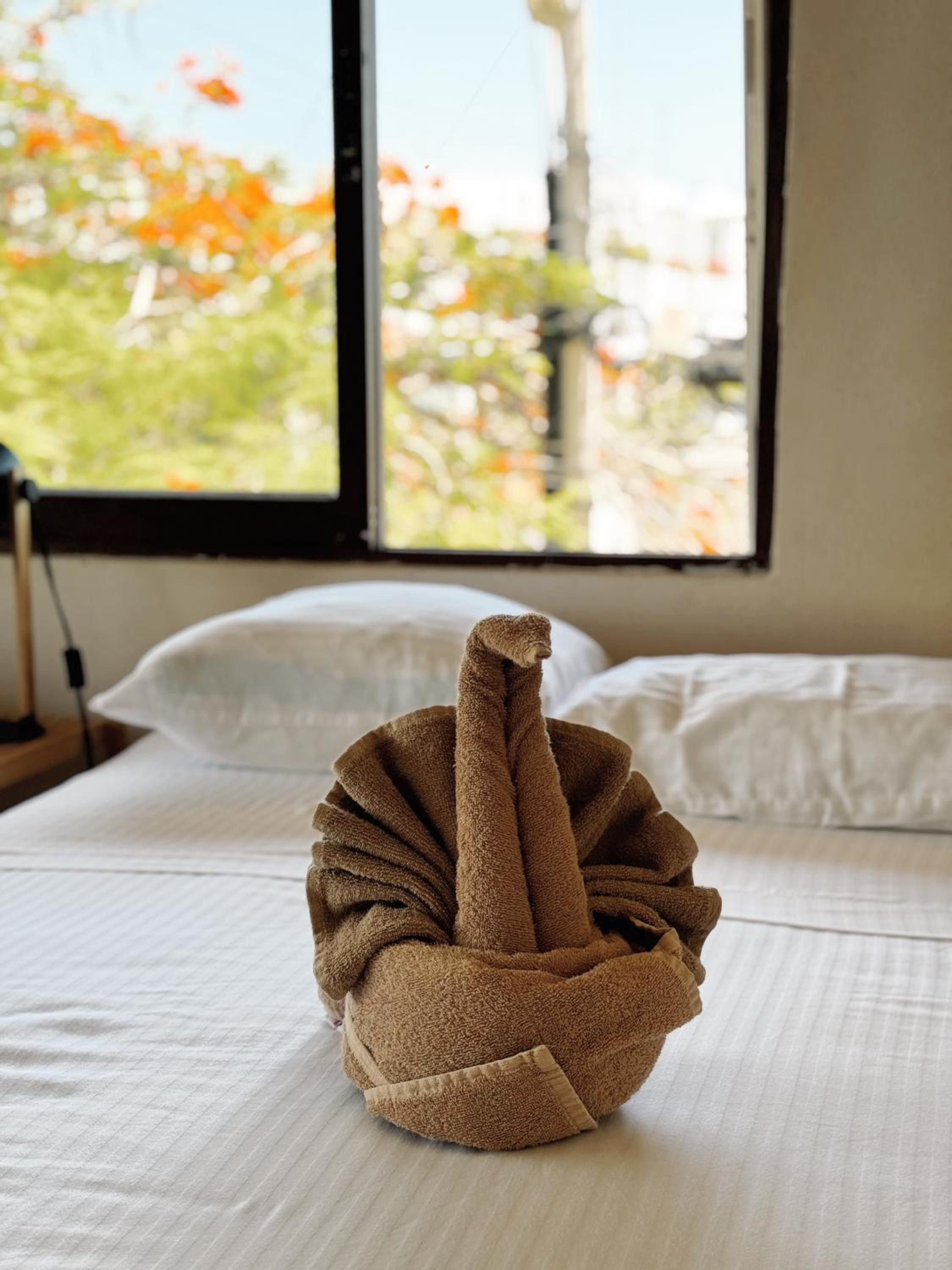 Photo 34