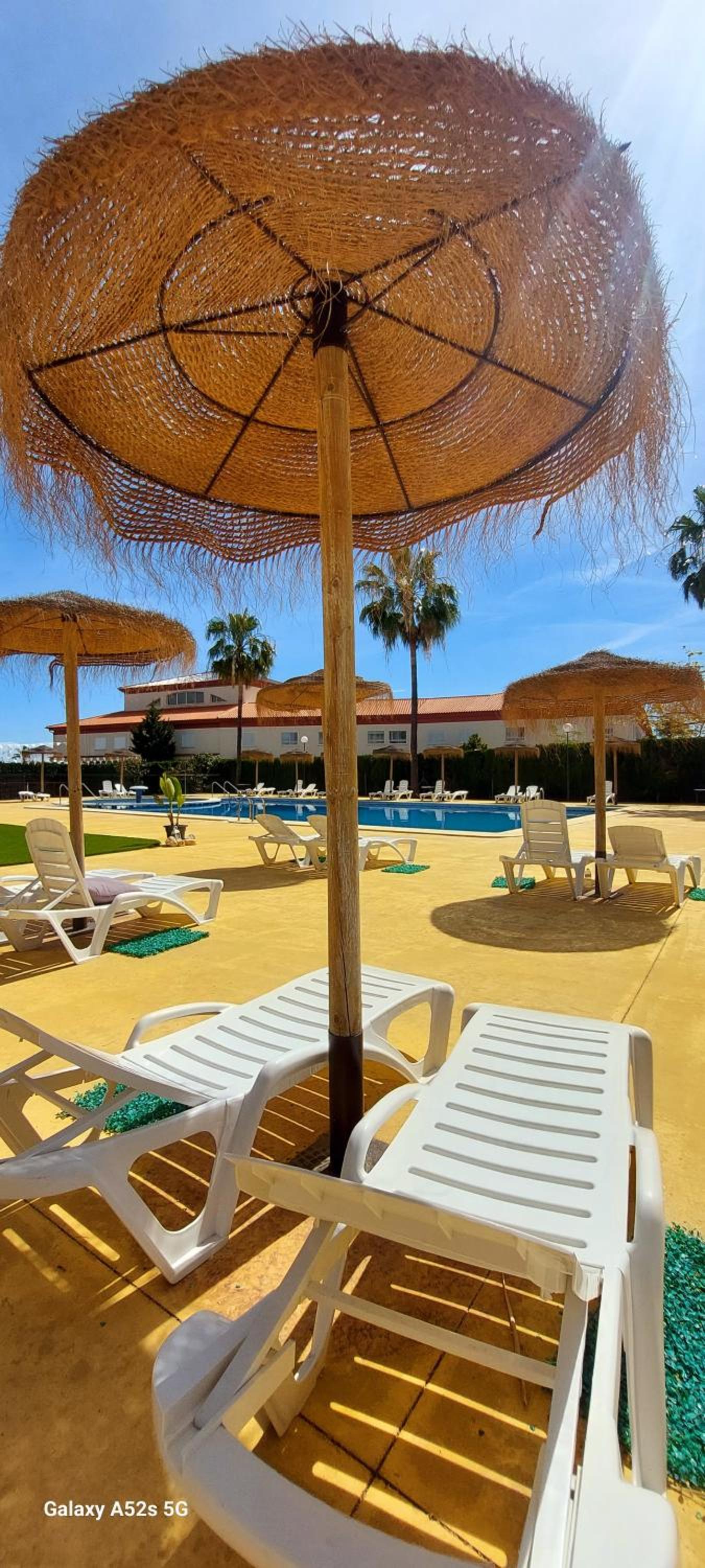 Home, tulipán Orihuela costa