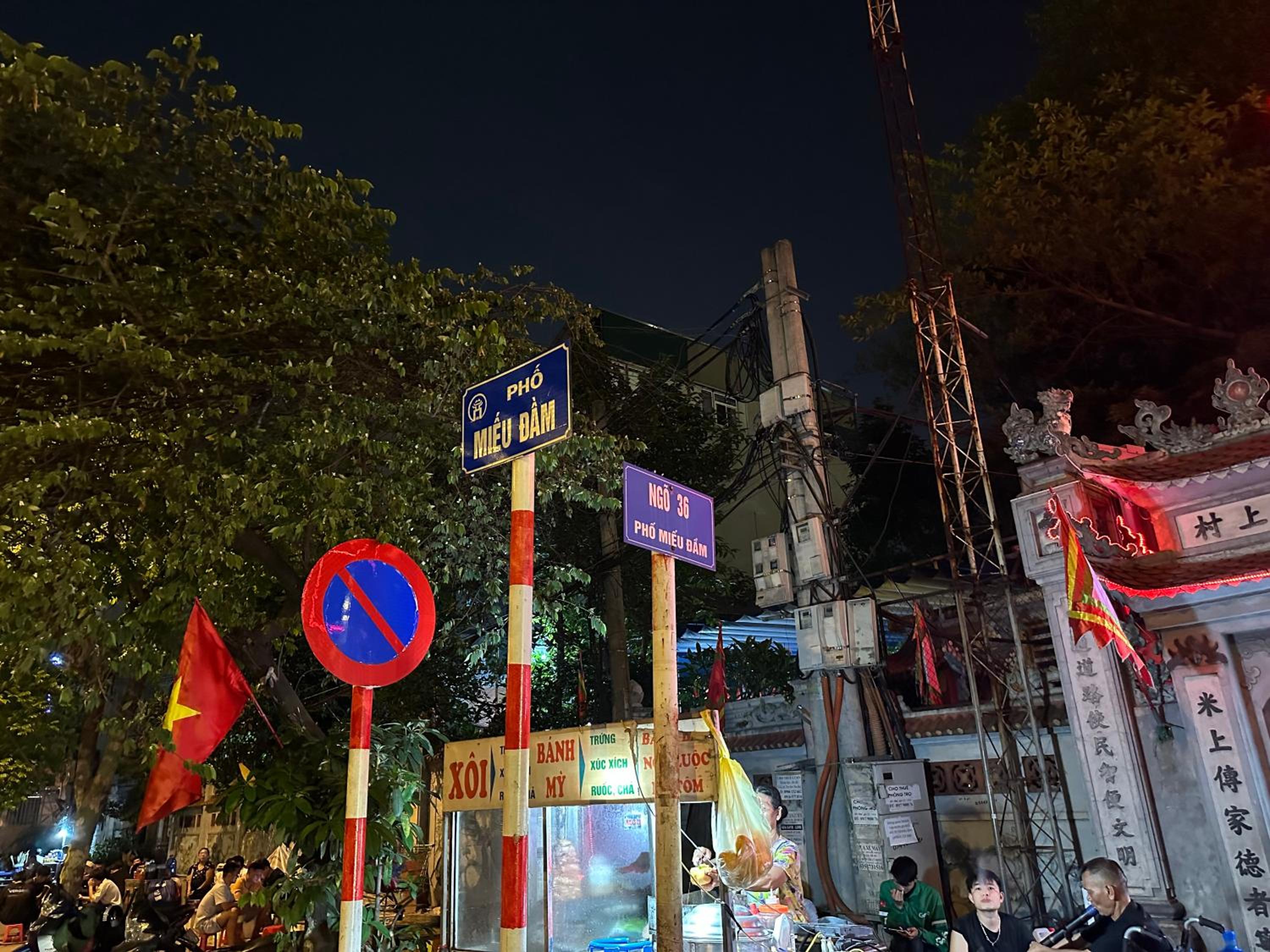 Hoa Hồng 301MD