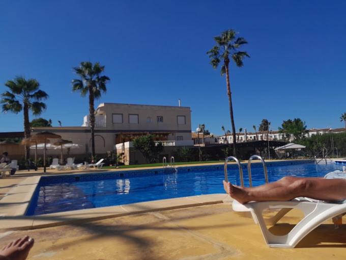 Home, tulipán Orihuela costa