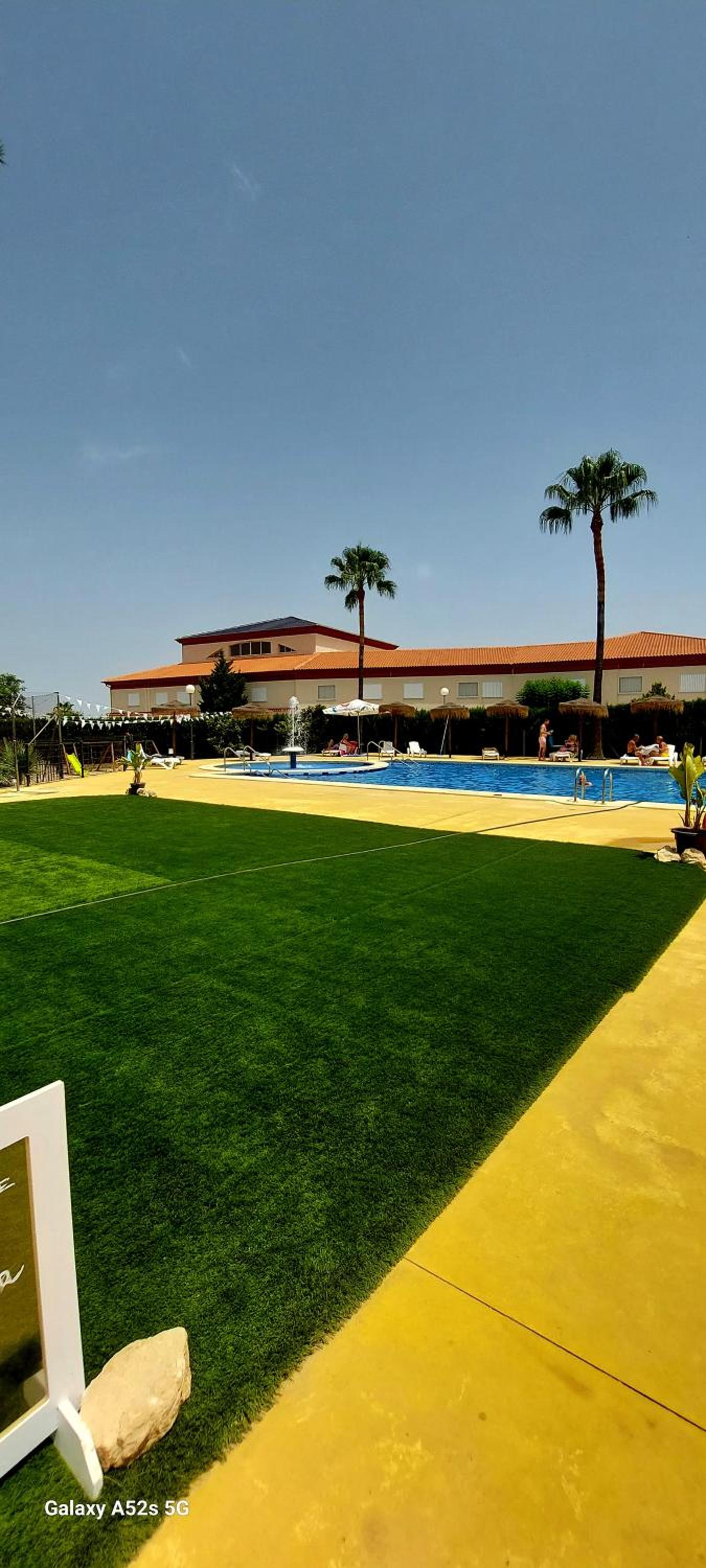 Home, tulipán Orihuela costa