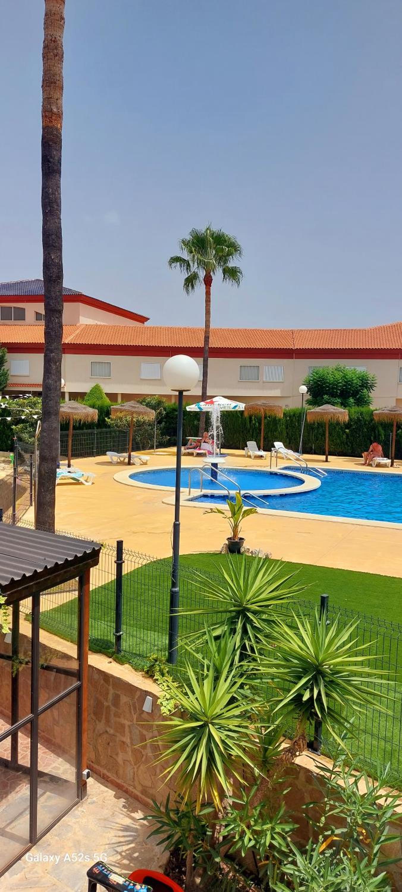 Home, tulipán Orihuela costa