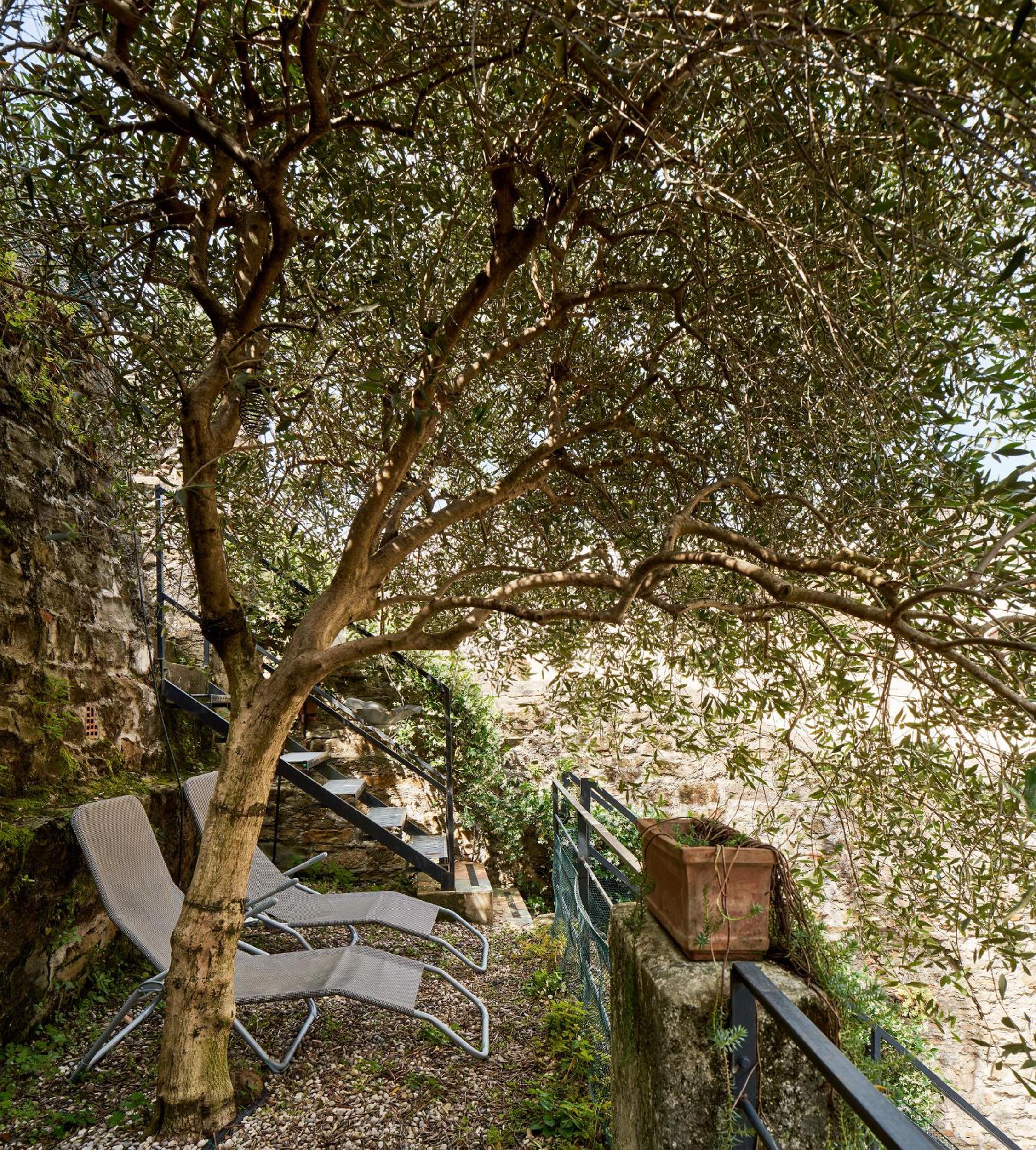 Giardino segreto, in centro photo 2