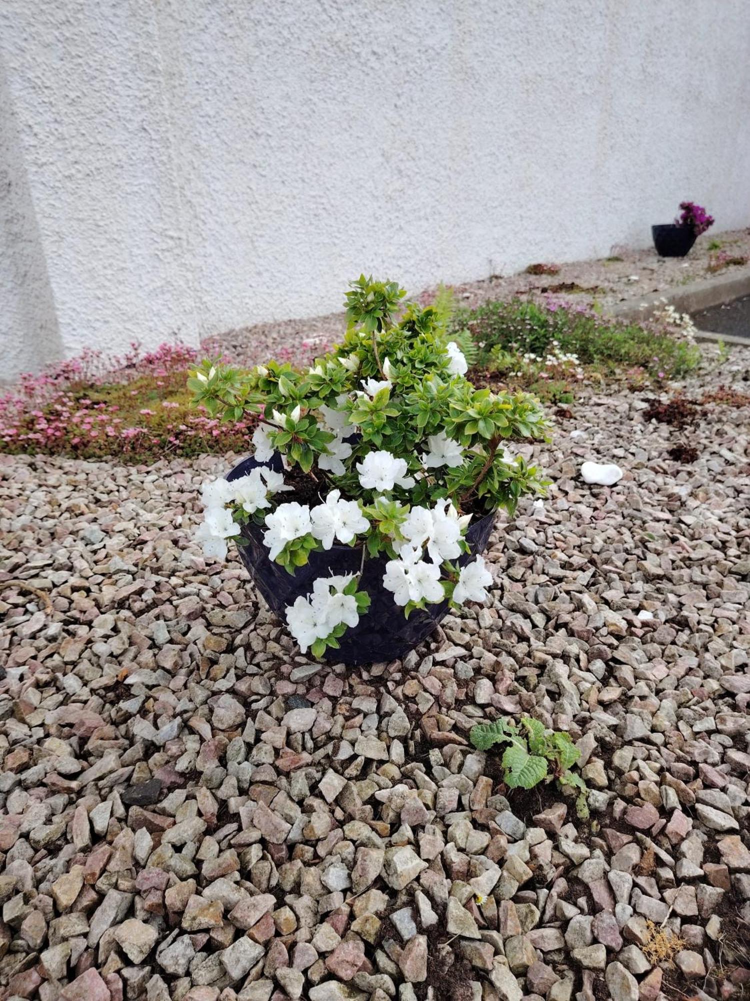 Photo 29