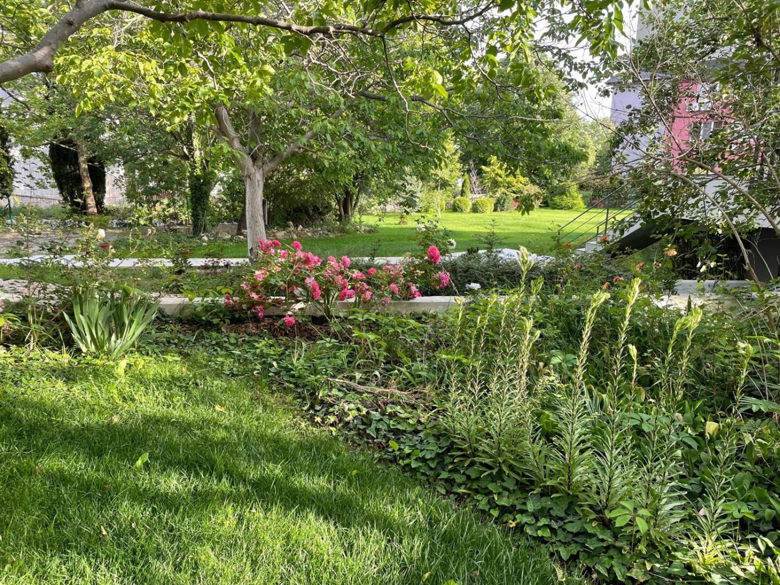 A charming and peaceful summer villa 400m from the sea