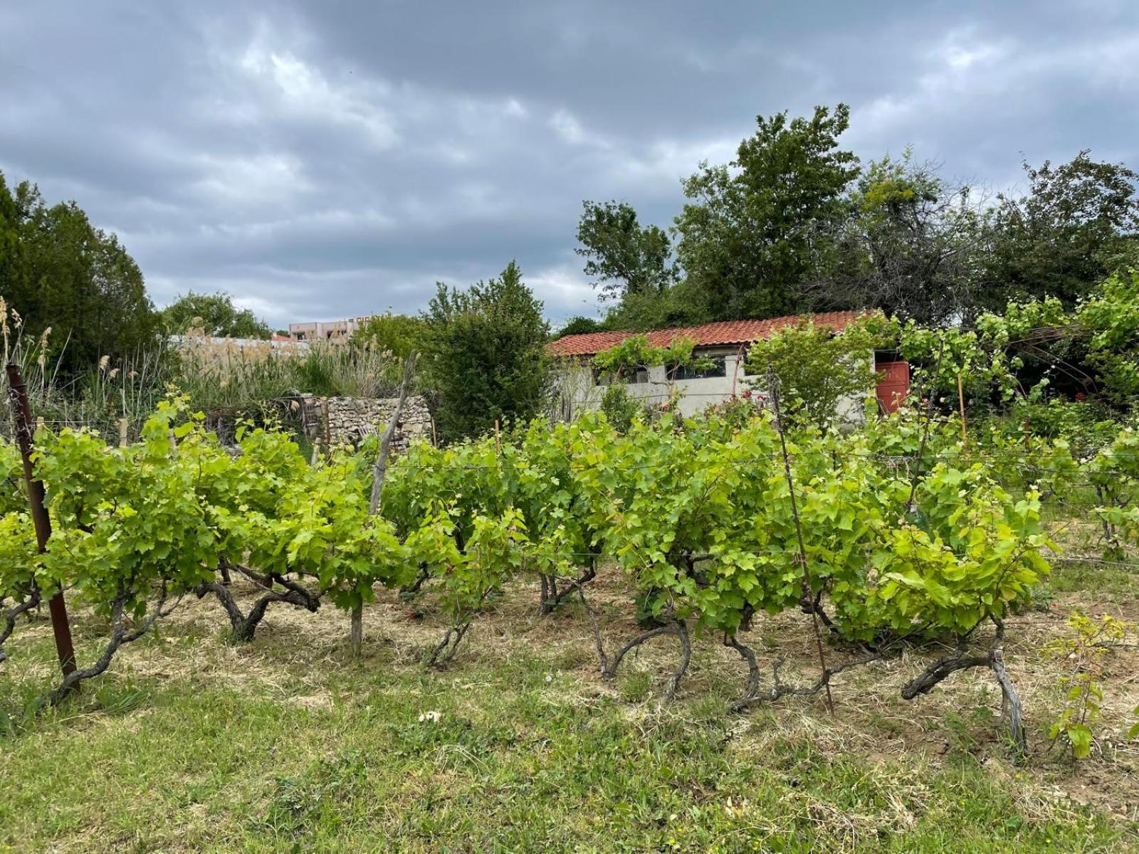 A charming and peaceful summer villa 400m from the sea