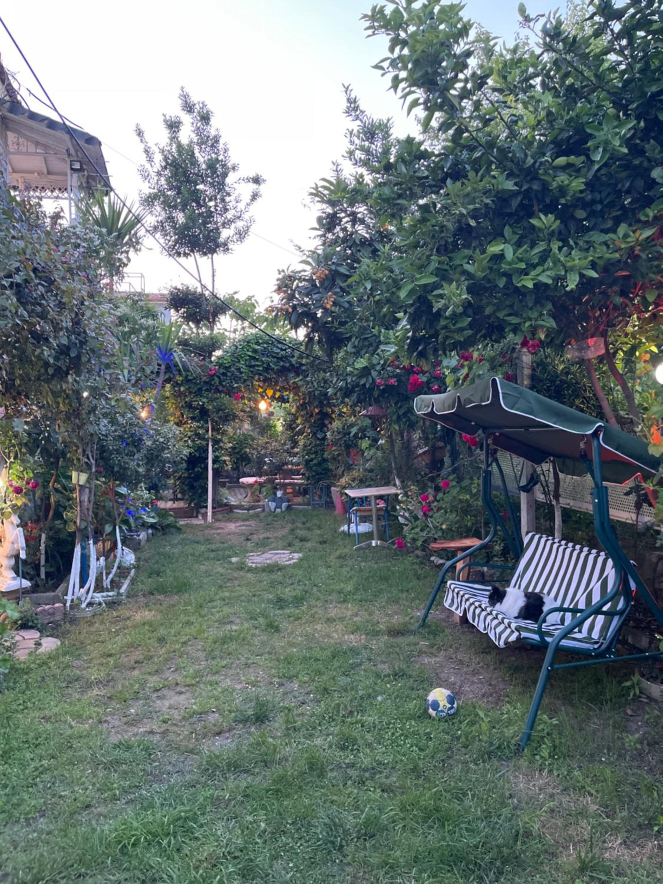 HILL Of SAN PIETRO