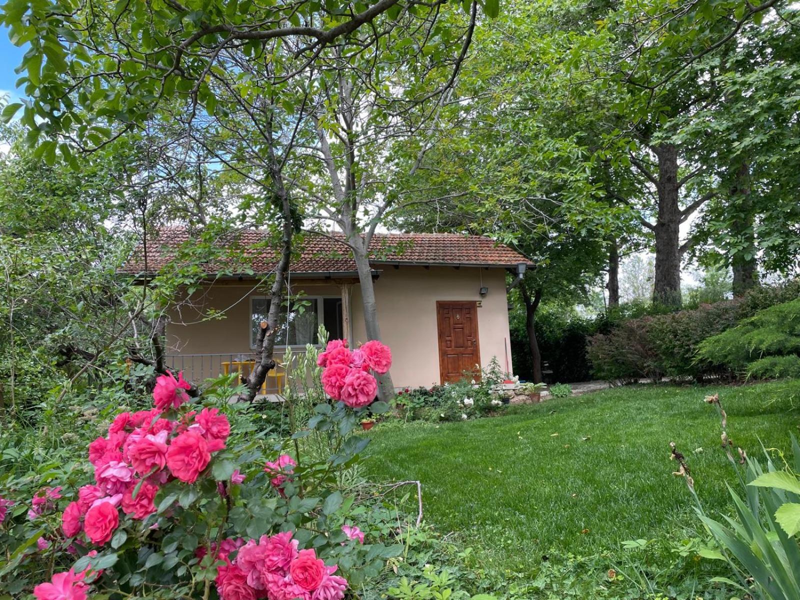 A charming and peaceful summer villa 400m from the sea