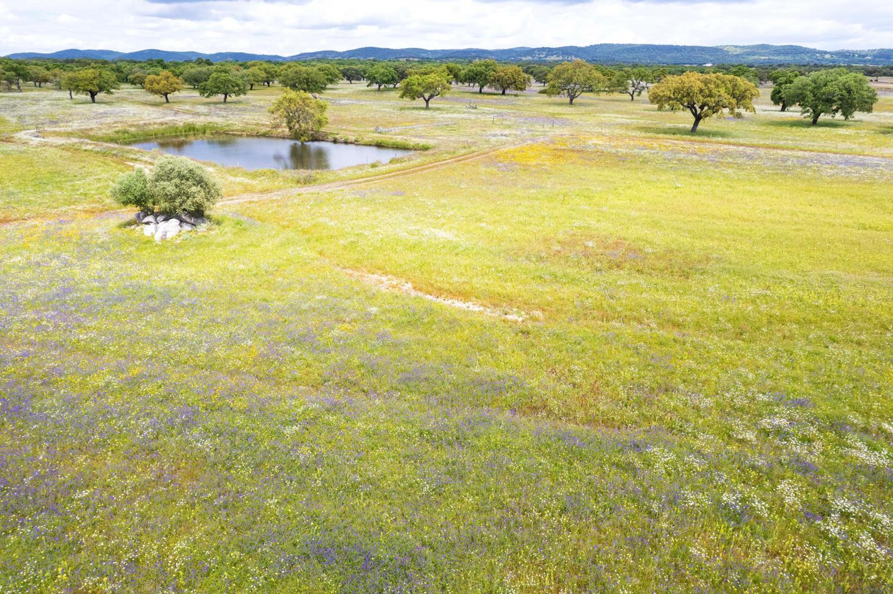 Aposento Real Villas