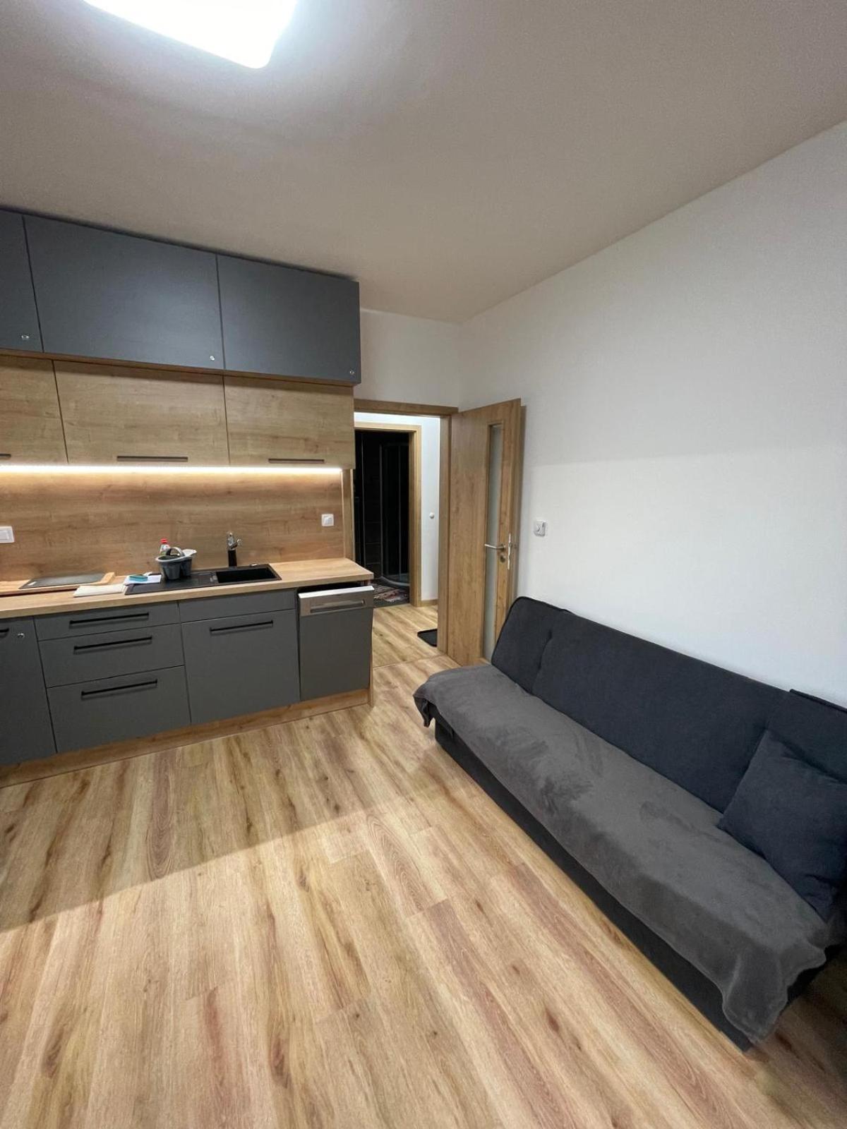 Apartmán Skis