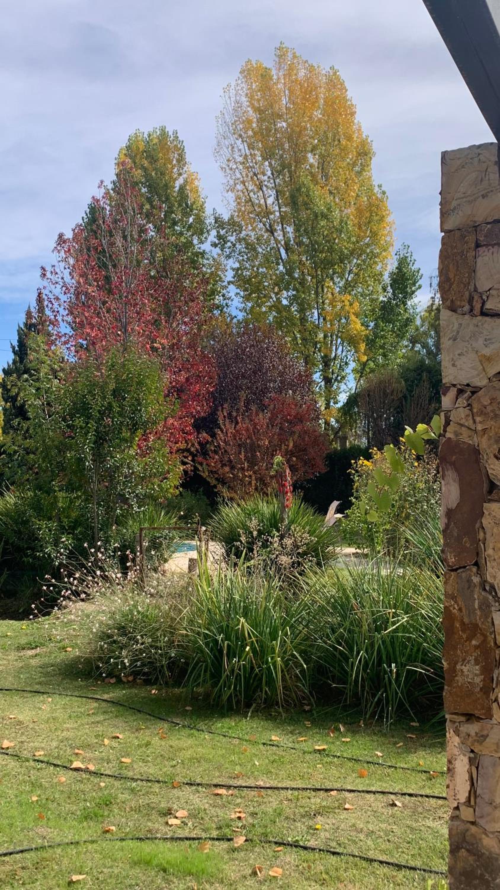 Chacras House