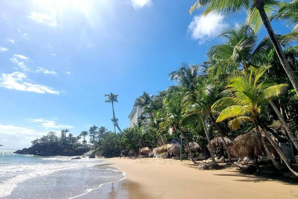 casa perfeita de sonho e completa