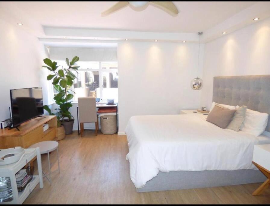 Central Stylish Studio view 4