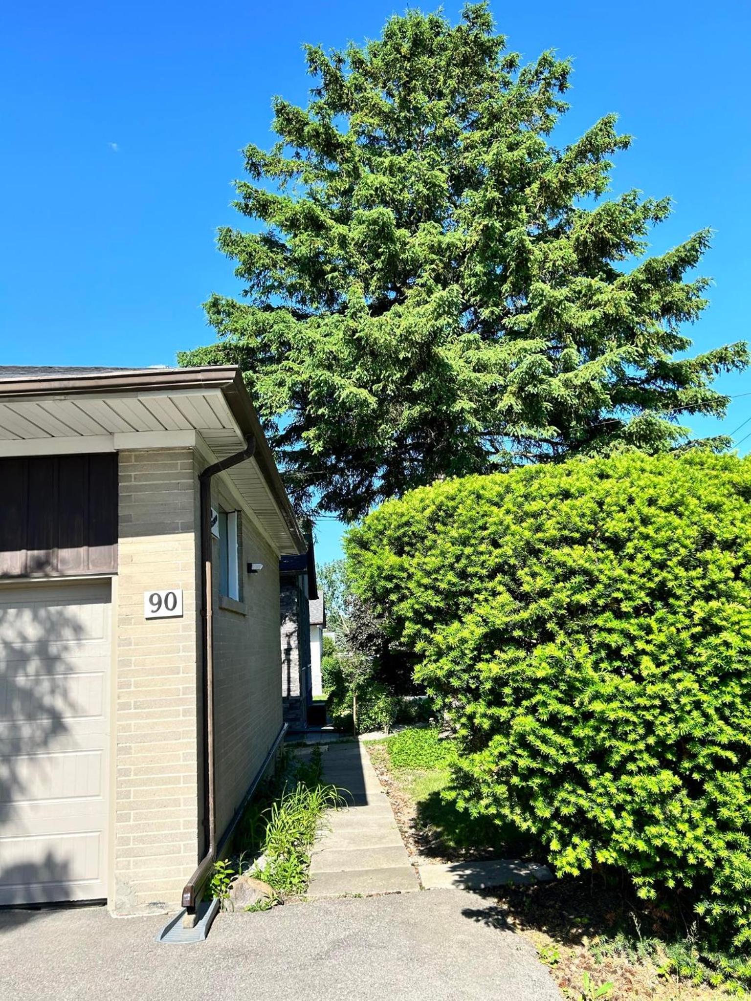 BRAND NEW lower home with EXCLUSIVE Bathroom