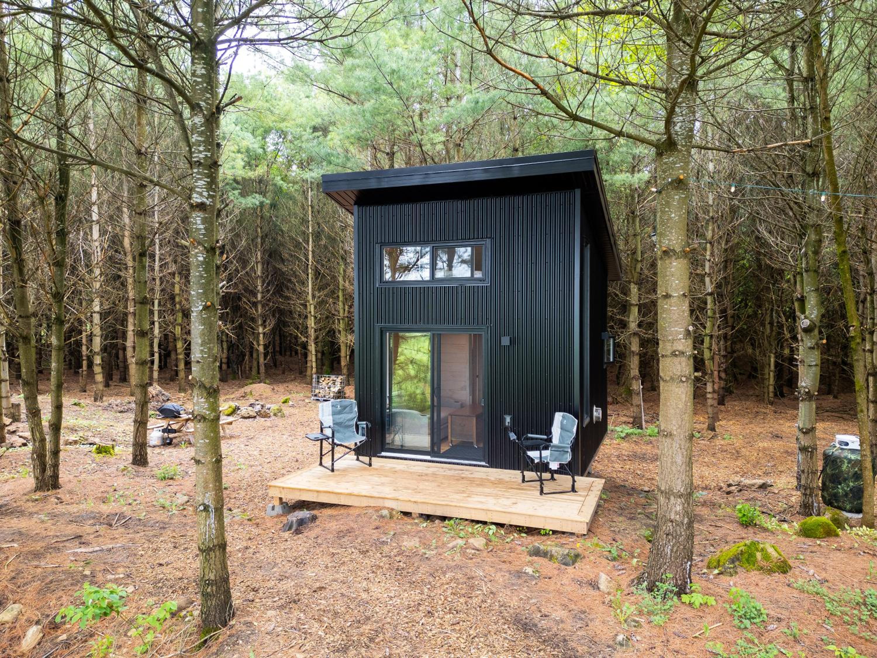 Little Cabin in the Pines