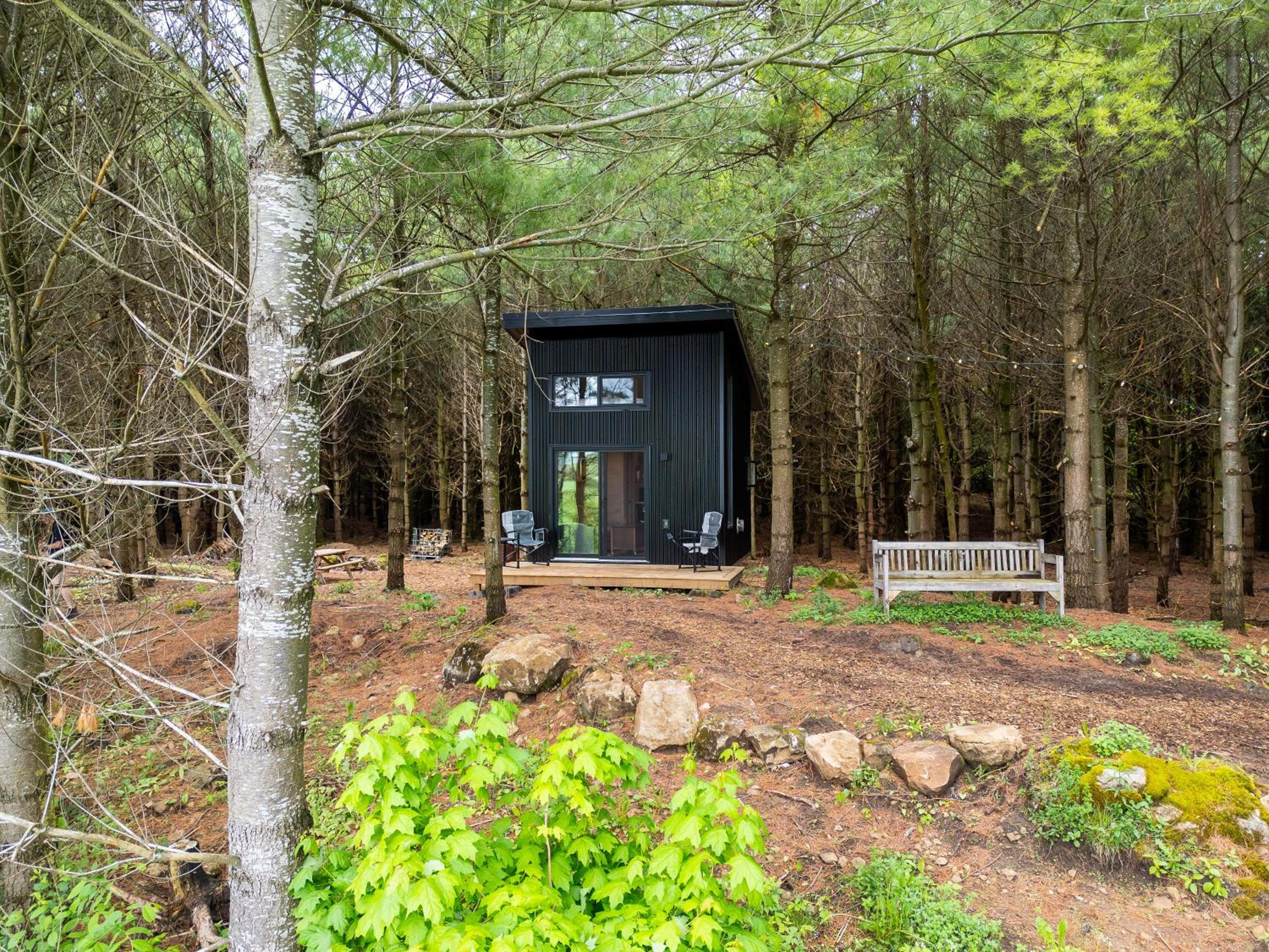 Little Cabin in the Pines