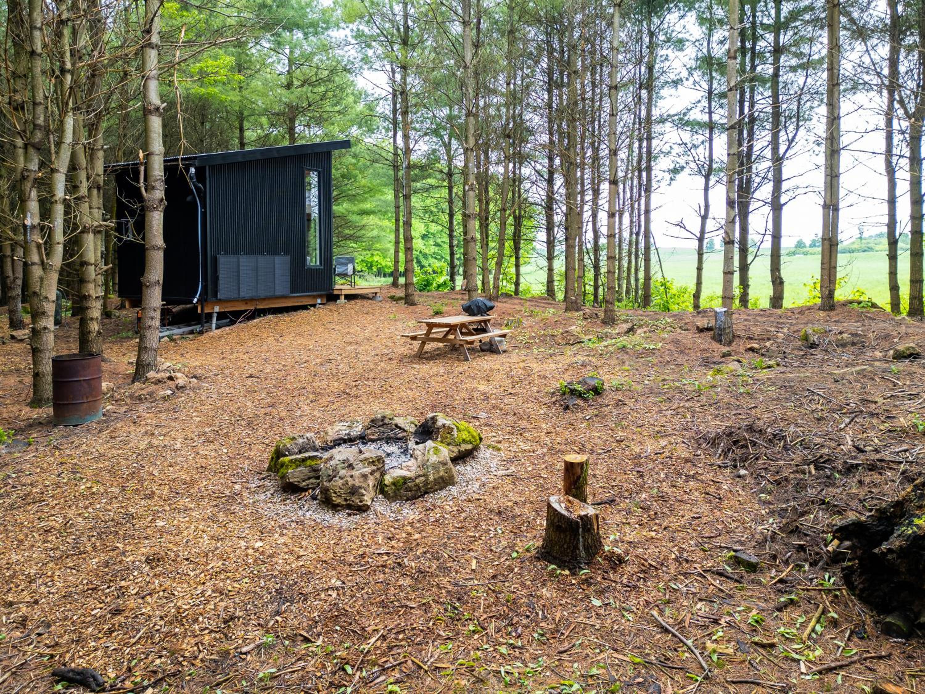 Little Cabin in the Pines