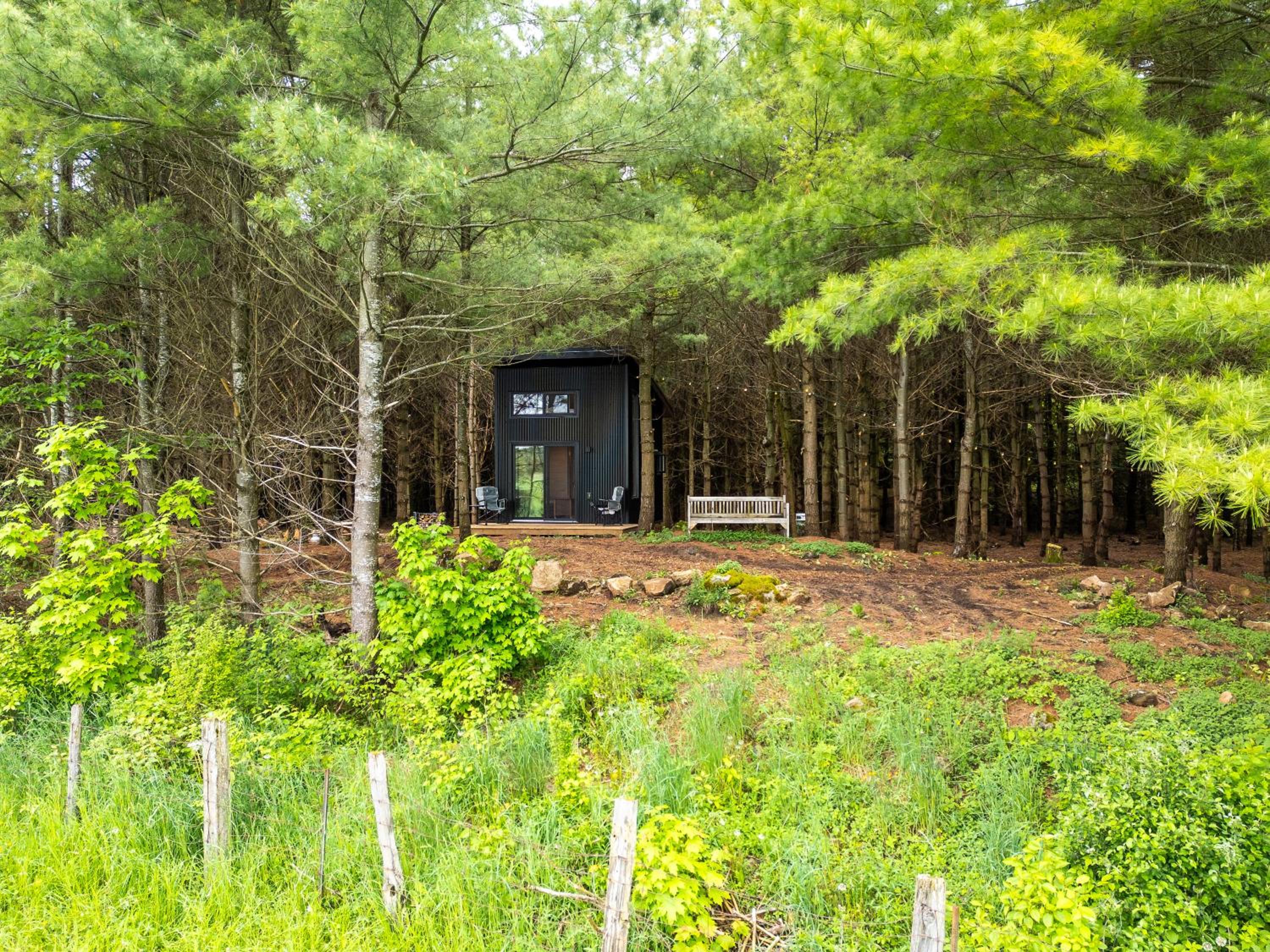 Little Cabin in the Pines