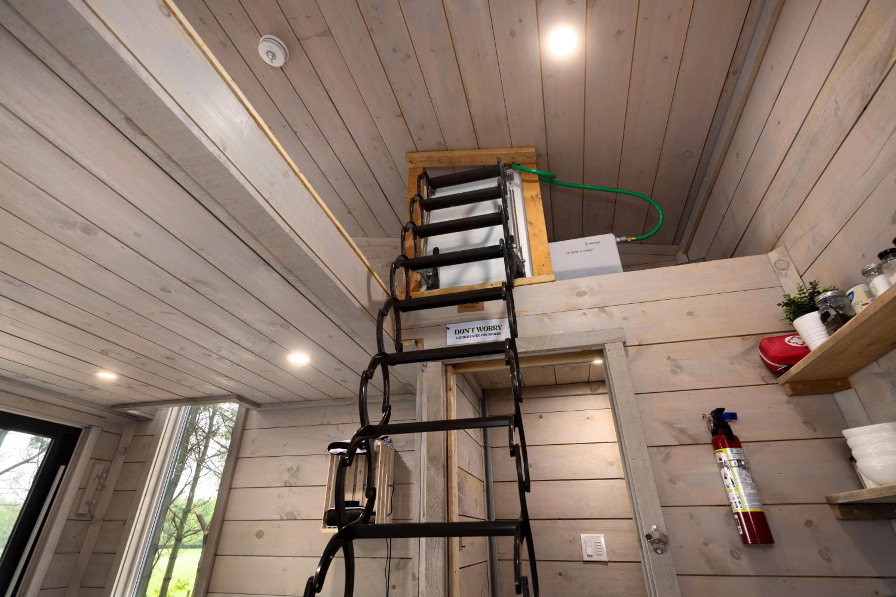 Little Cabin in the Pines