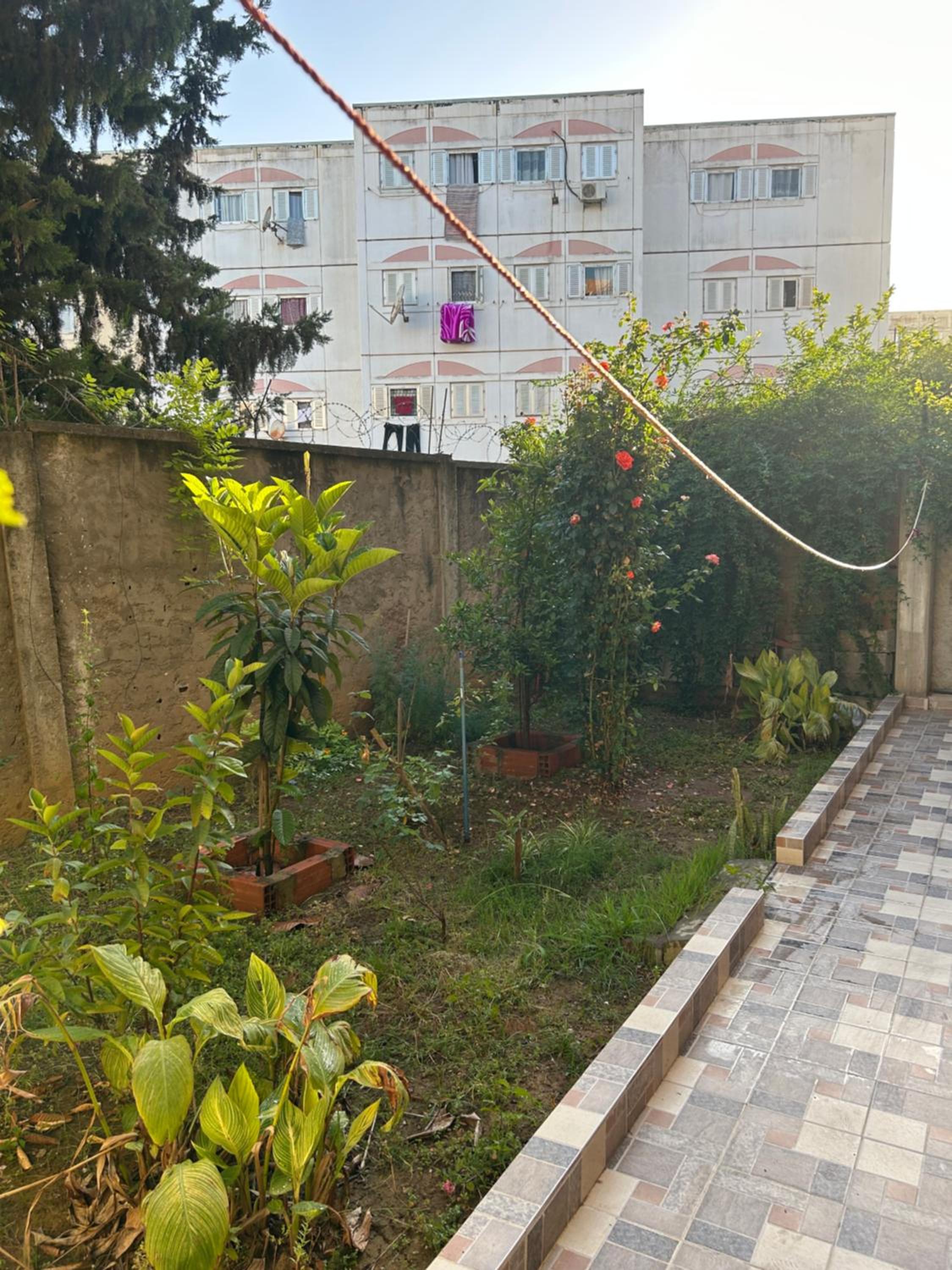 Yassine's home