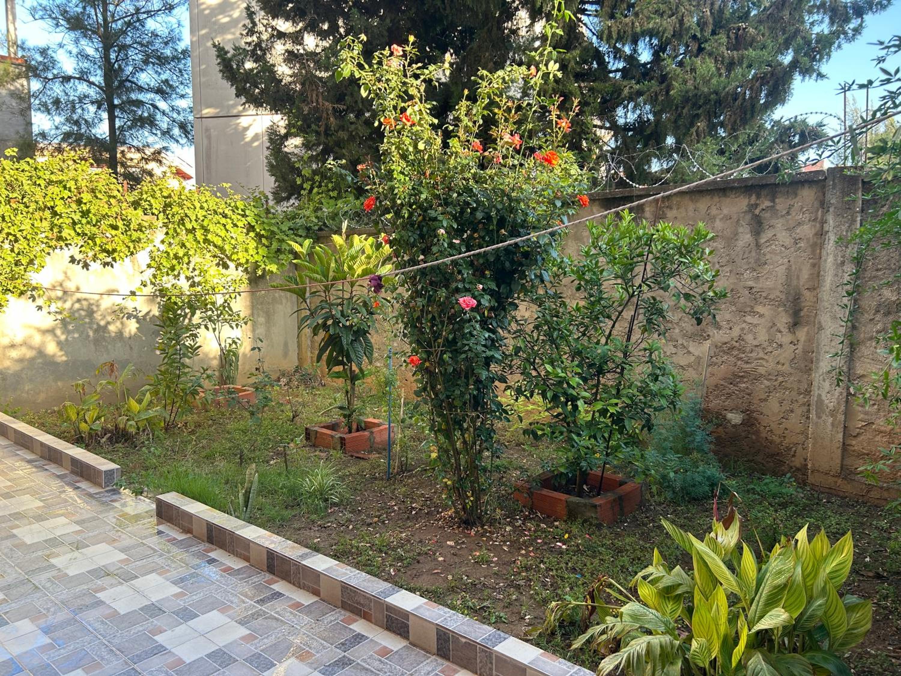 Yassine's home