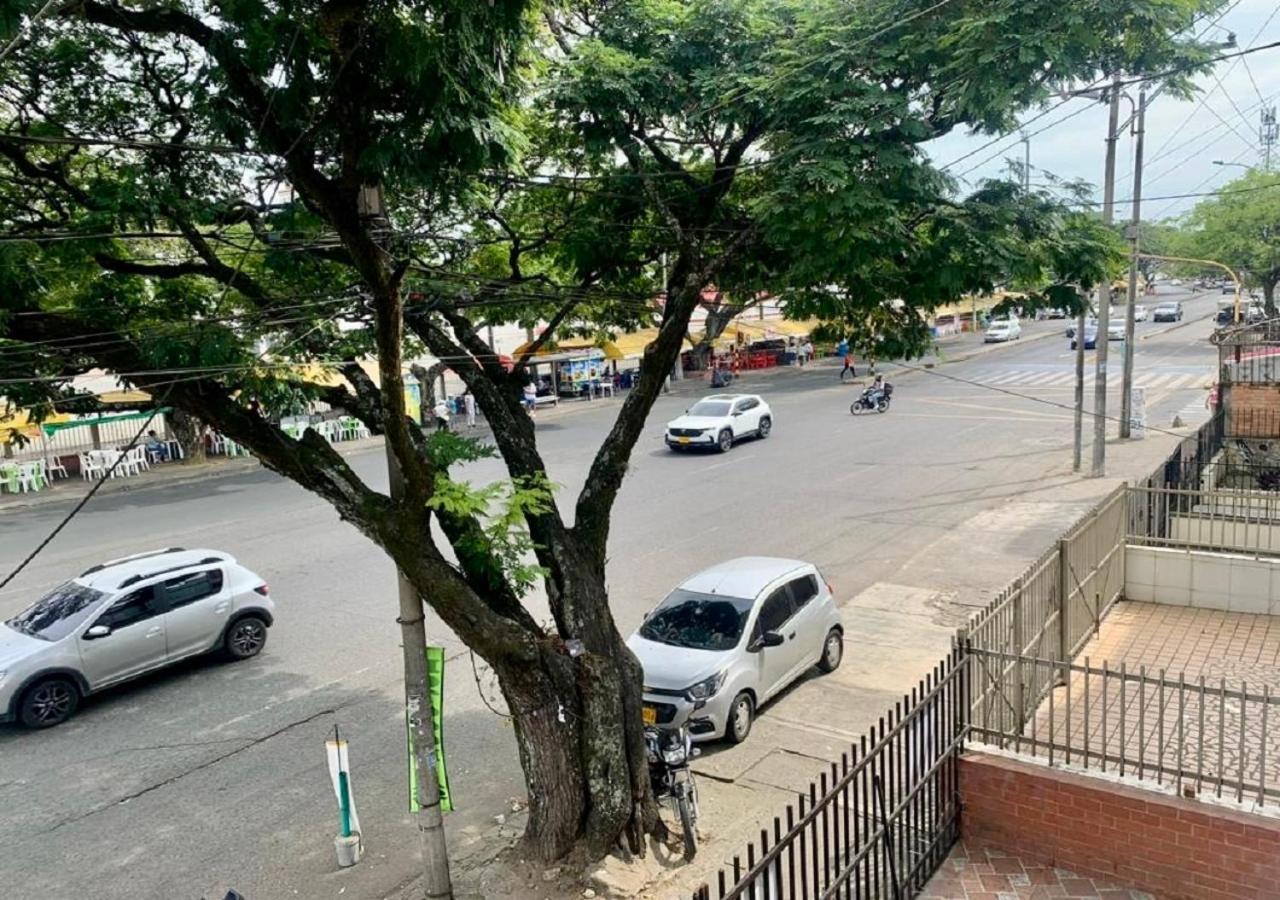Casa Mango
