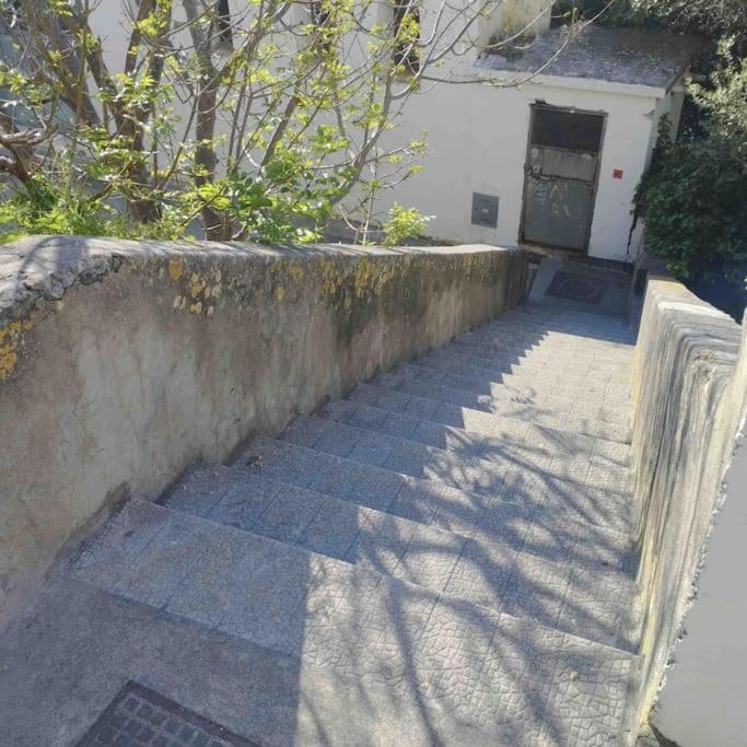 Monicas garden and the Sea photo 2