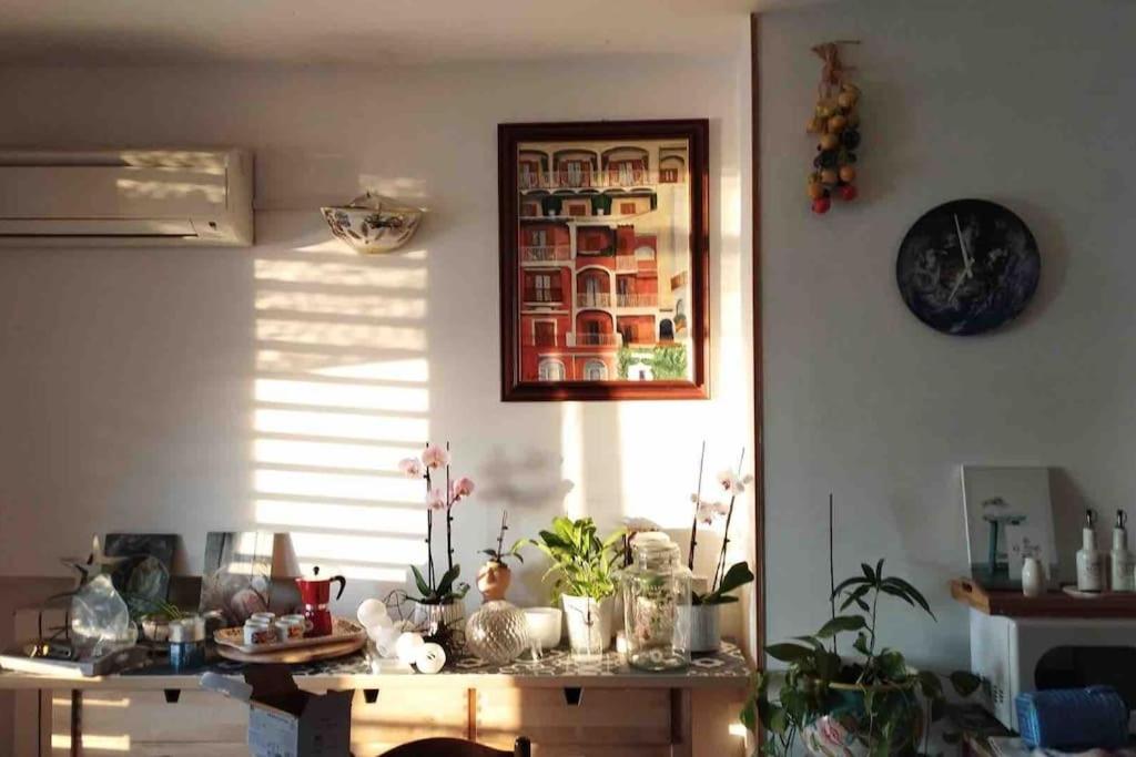 Monicas garden and the Sea photo 4