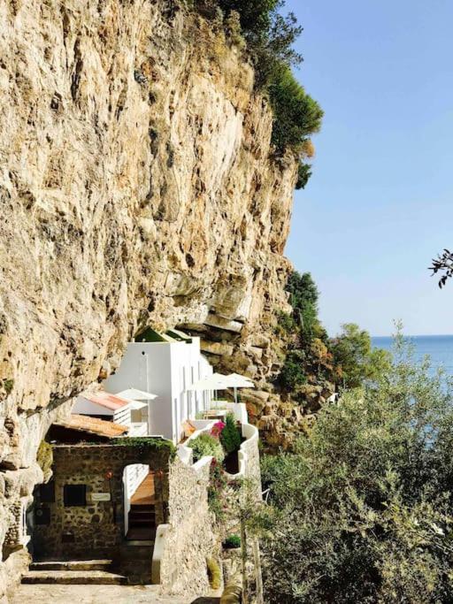 Monicas garden and the Sea
