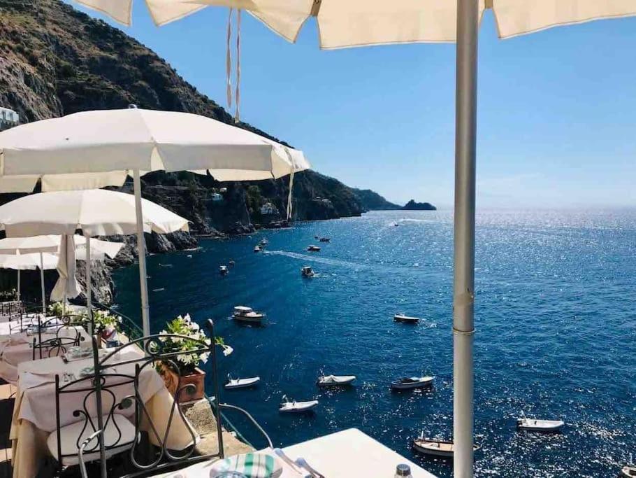 Monicas garden and the Sea