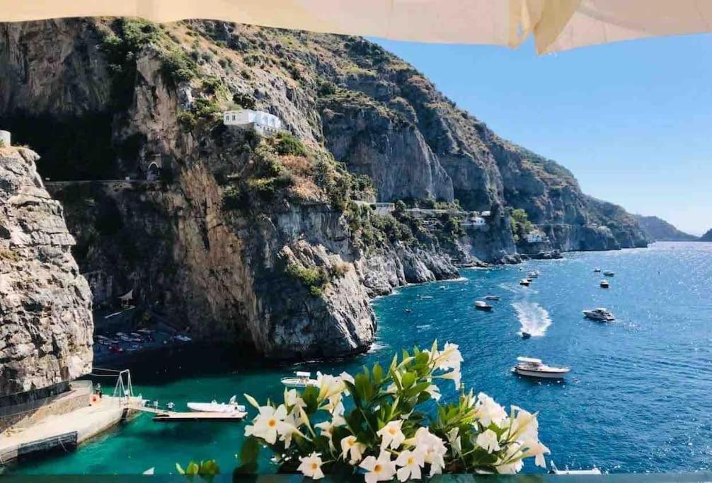 Monicas garden and the Sea