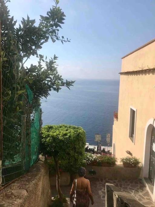 Monicas garden and the Sea