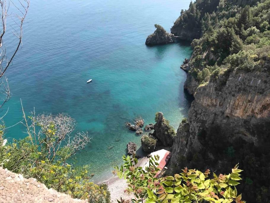 Monicas garden and the Sea