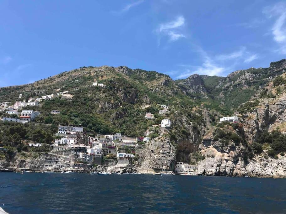 Monicas garden and the Sea