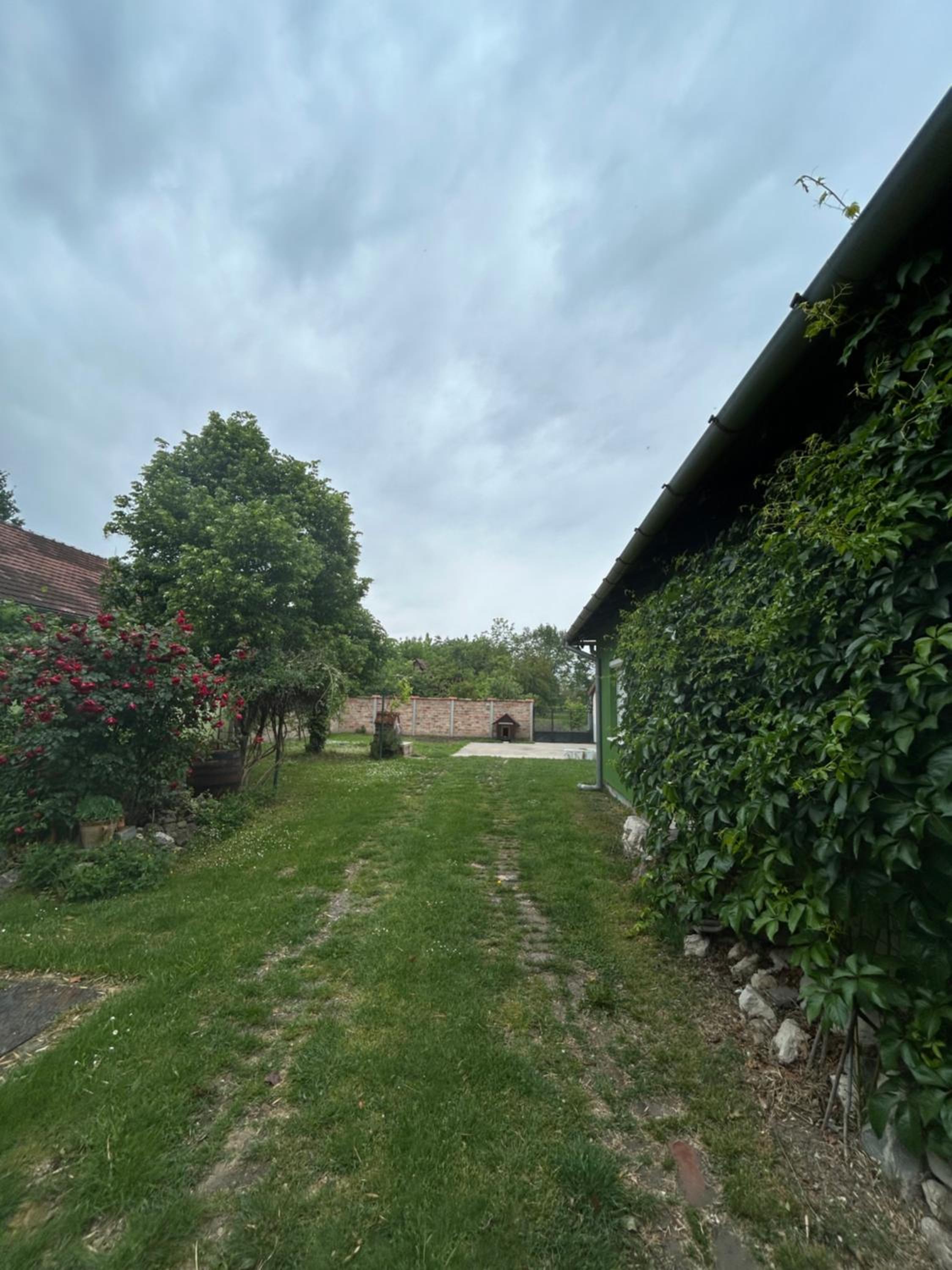 Apartman Maša view 3