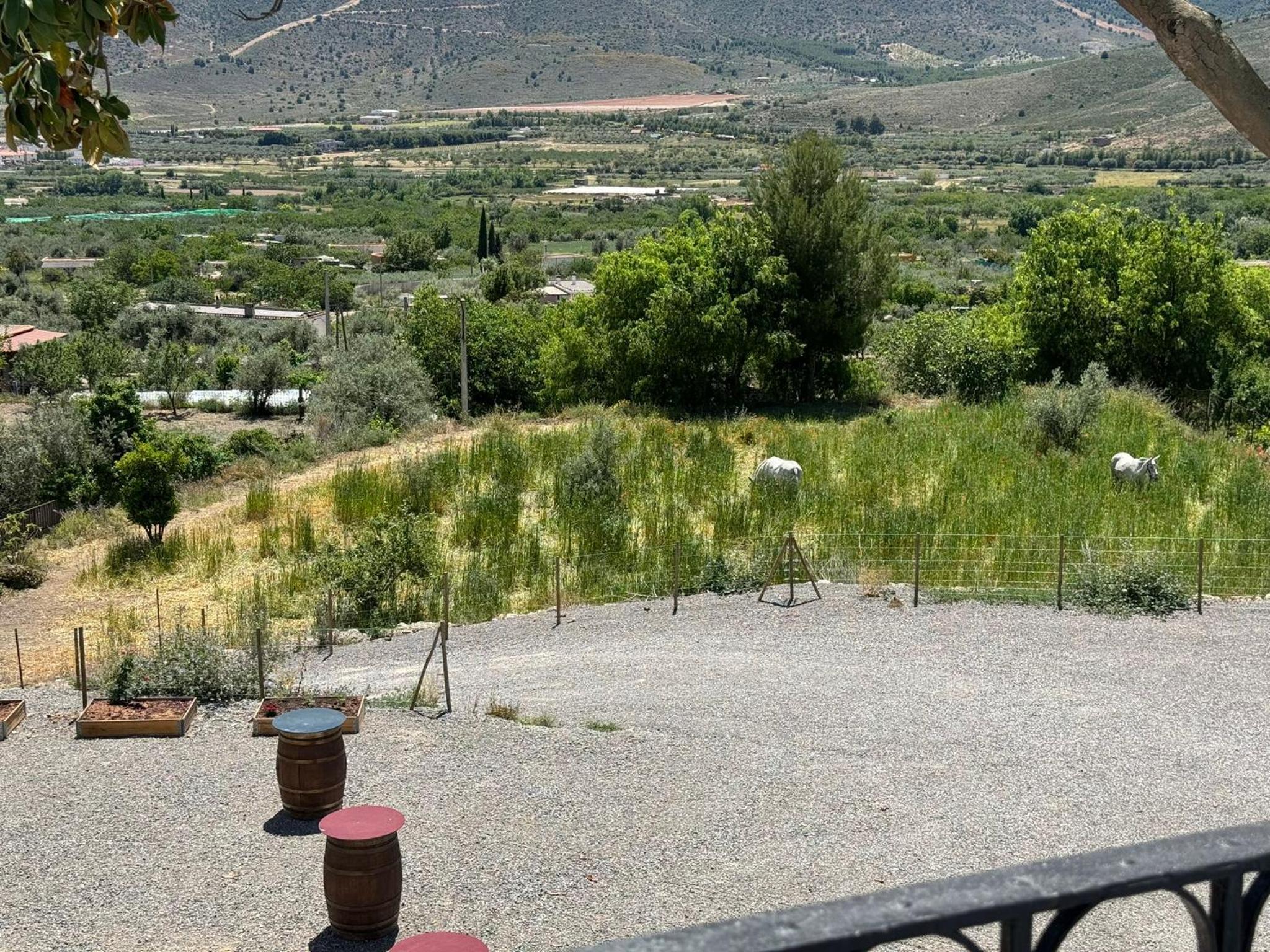 CASA YANGUAS APARTAMENTOS RURALES EN LAUJAR DE ANDARAx