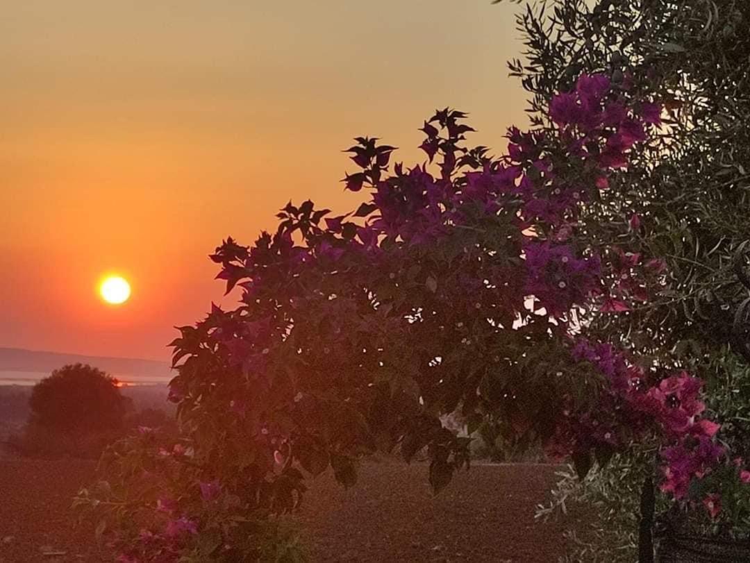 La Bouganvillea