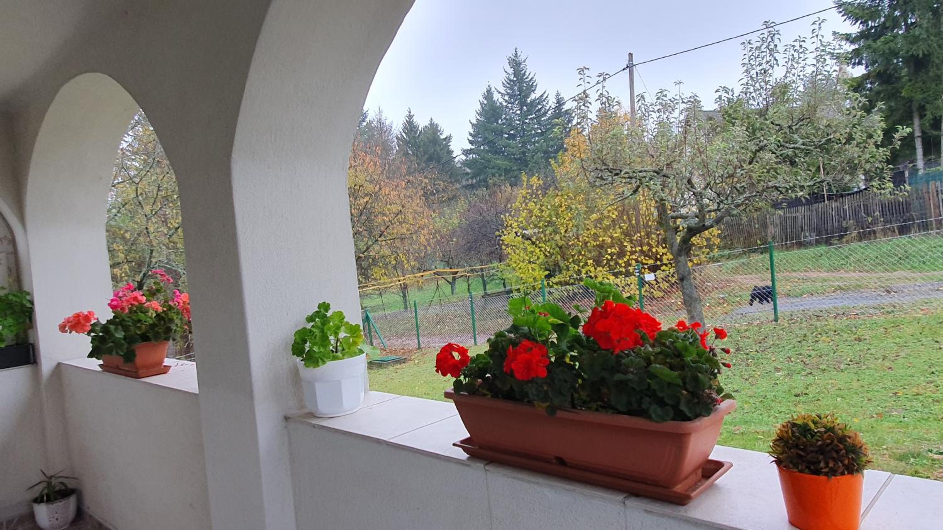 Sziklaszirt - Wellness Vendégház