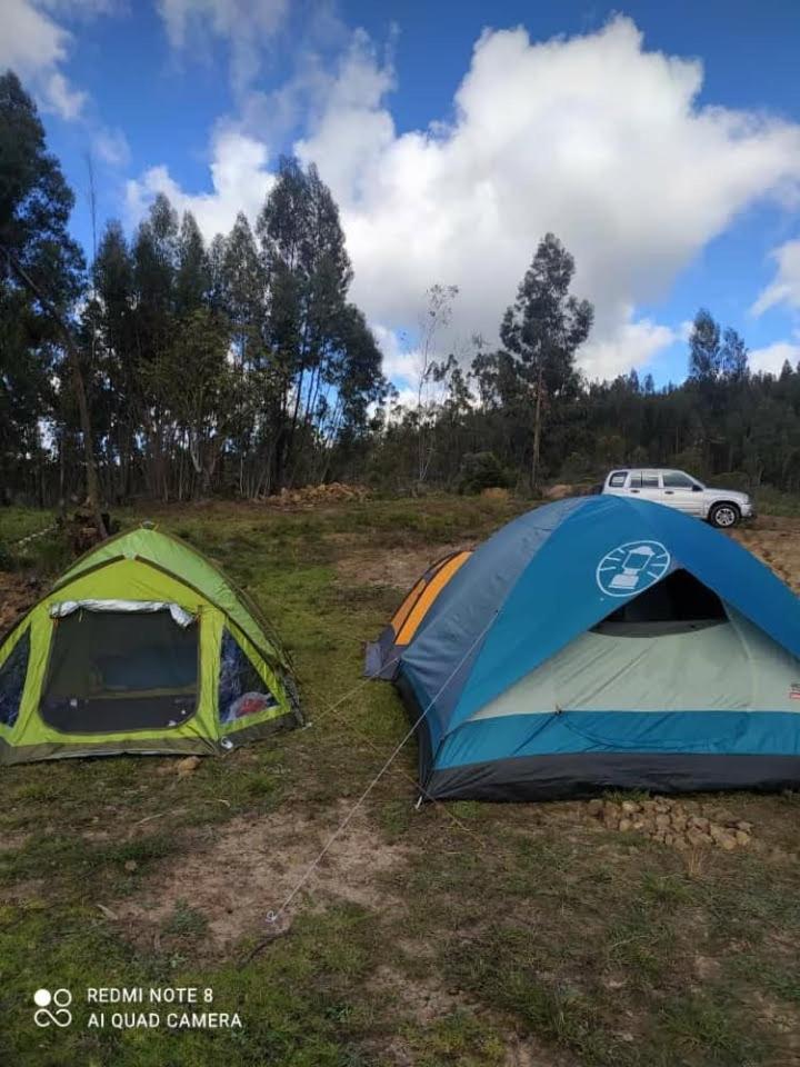 La madriguera de Guatavita Sta María