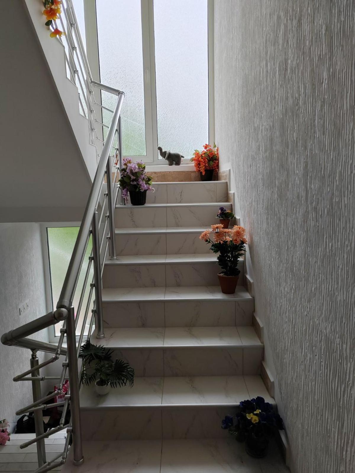 Apartmani Petrović view 5